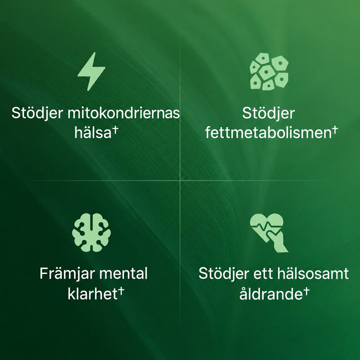 Skandivalabs AMLA – Superfruktextrakt 1000 mg