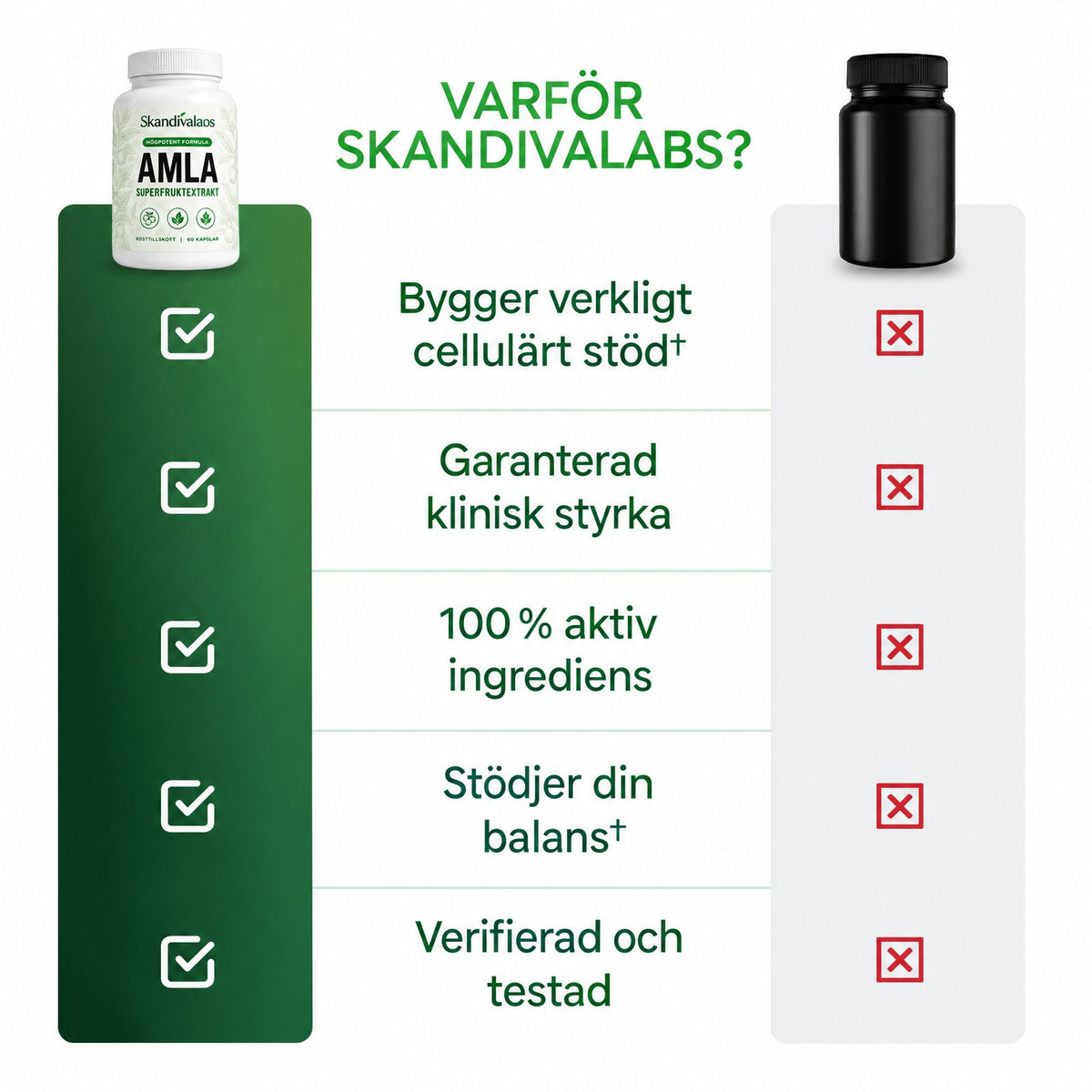 Skandivalabs AMLA – Superfruktextrakt 1000 mg