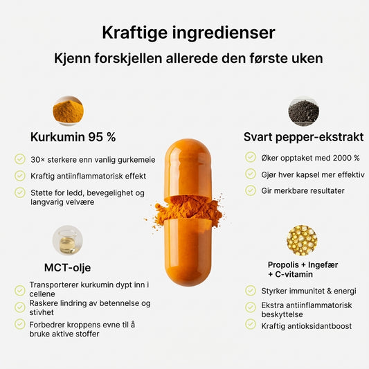 Biolabs – Curcumin fra gurkemeie 1000 mg