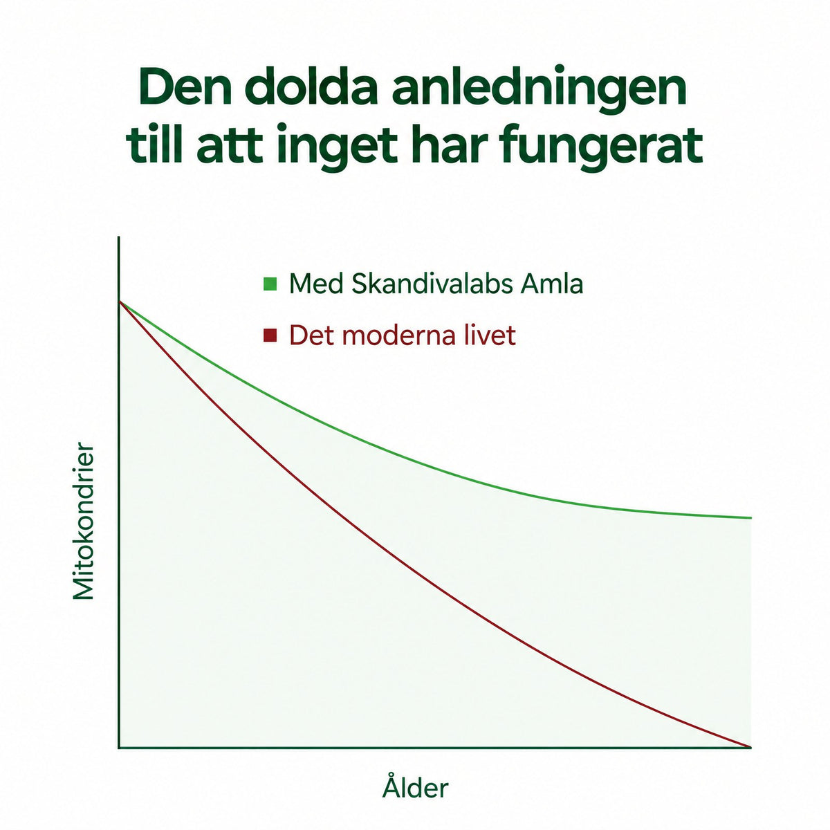 Skandivalabs AMLA – Superfruktextrakt 1000 mg