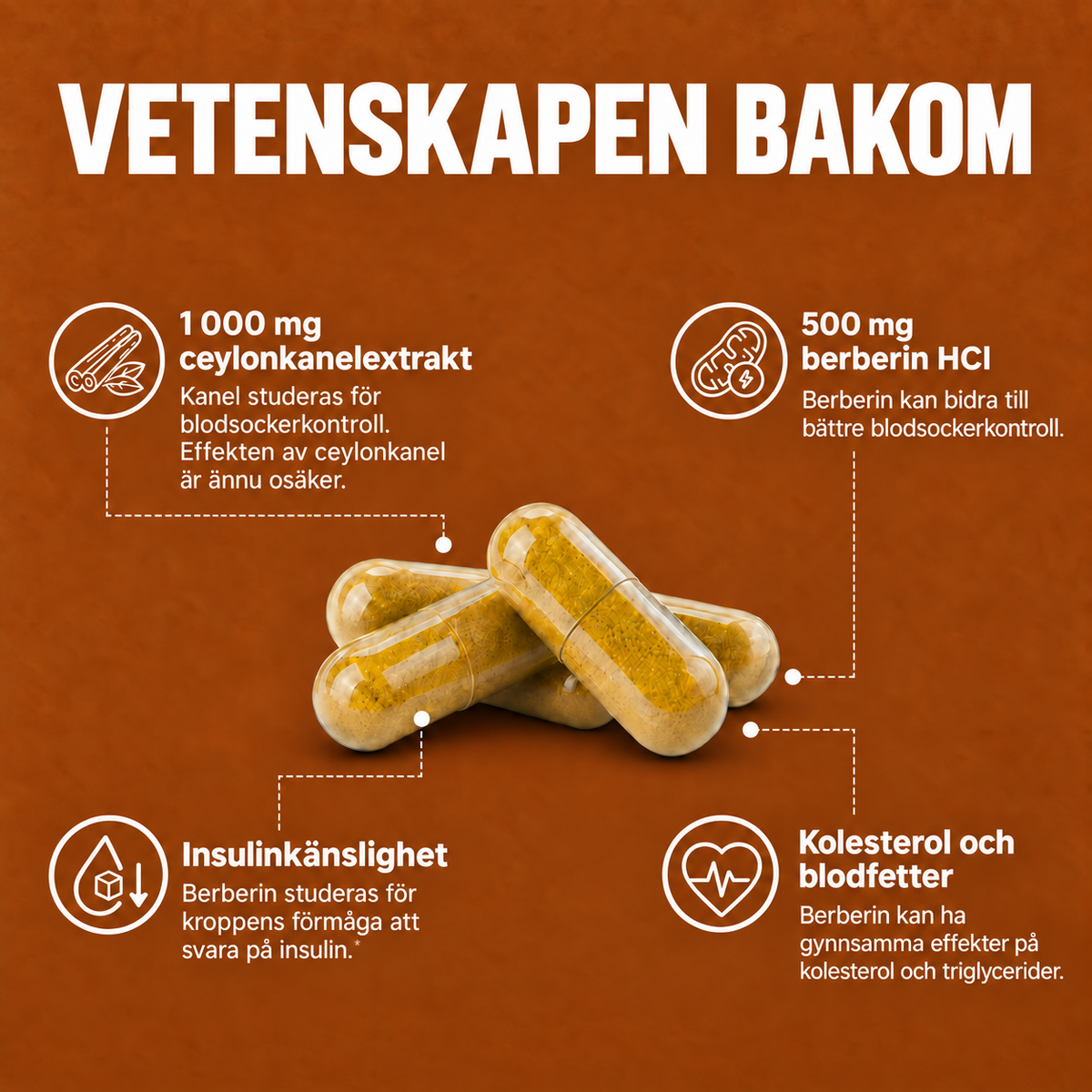 Skandivalabs® Ceylonkanel - Stödjer hälsosamt blodsocker & metabol balans