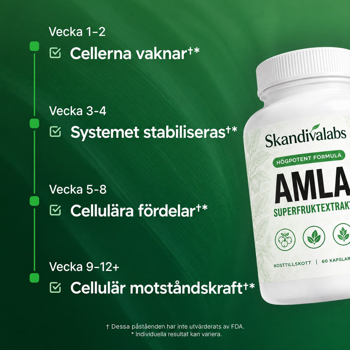 Skandivalabs AMLA – Superfruktextrakt 1000 mg